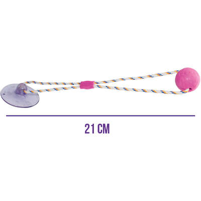 Brinquedo Push Ball Divercão Rosa