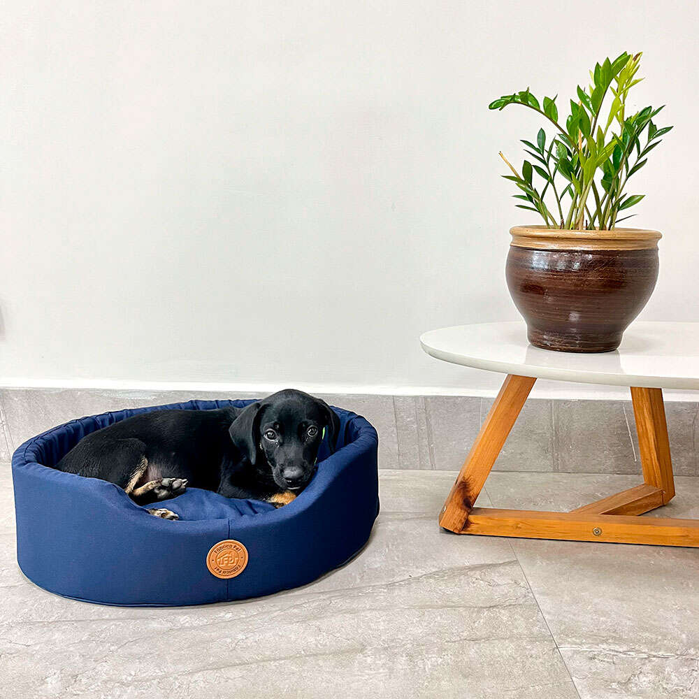 Cama Fábrica Pet Europa London Azul - Tam. M