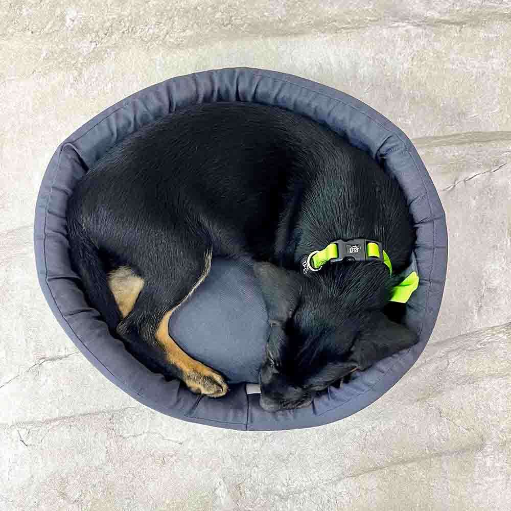 Cama Fábrica Pet Europa London Cinza - Tam. M