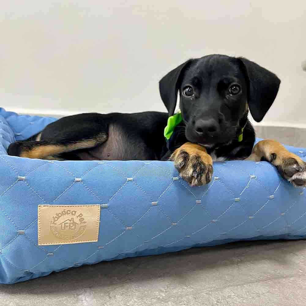 Cama Retangular Fábrica Pet Matelasse Azul - Tam. M