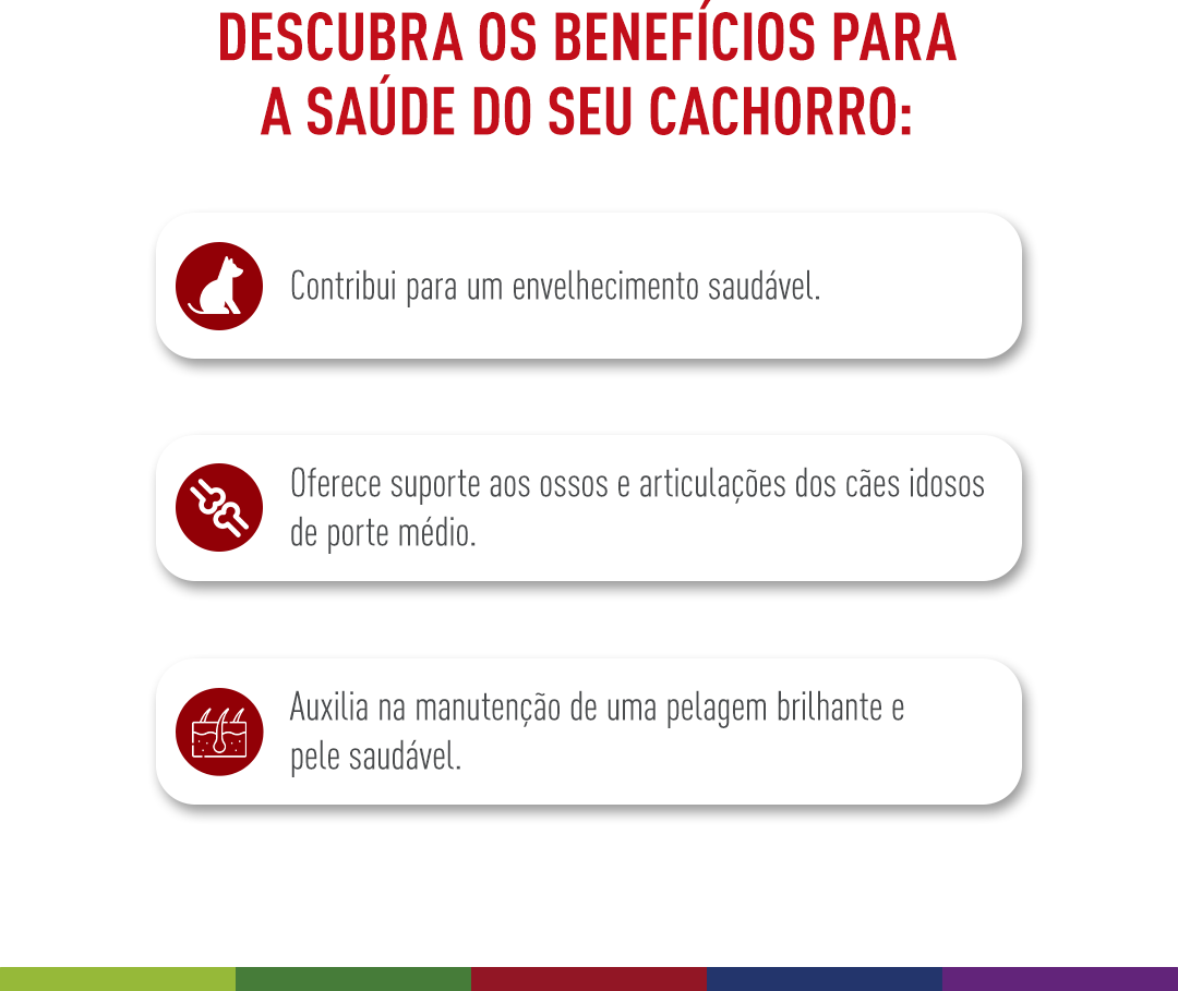 Ração Royal Canin Medium Ageing 10 + para Cães Idosos de Raças Médias com 10 Anos ou mais - 12Kg
