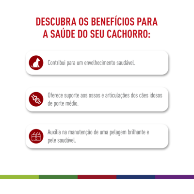 Ração Royal Canin Medium Ageing 10 + para Cães Idosos de Raças Médias com 10 Anos ou mais