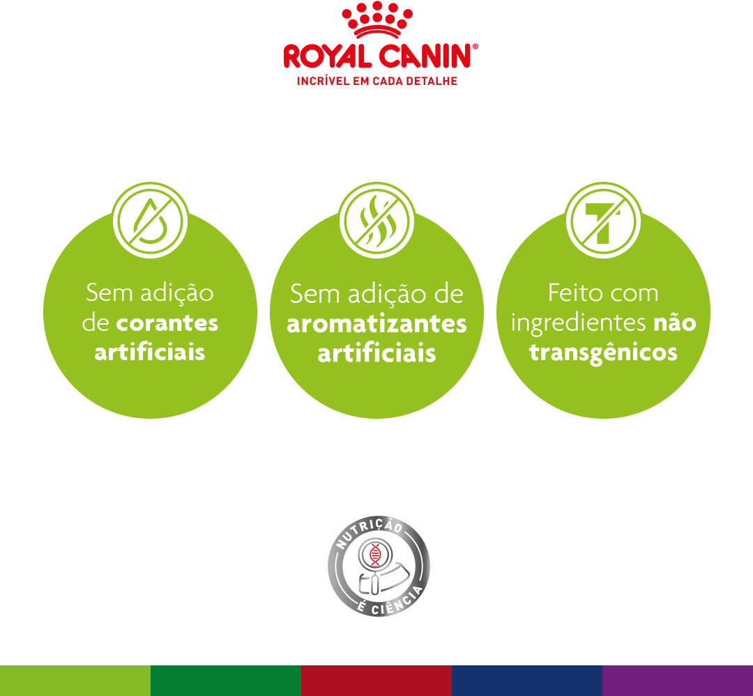 Ração Royal Canin Medium Ageing 10 + para Cães Idosos de Raças Médias com 10 Anos ou mais - 12Kg