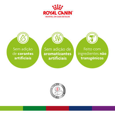 Ração Royal Canin Medium Ageing 10 + para Cães Idosos de Raças Médias com 10 Anos ou mais