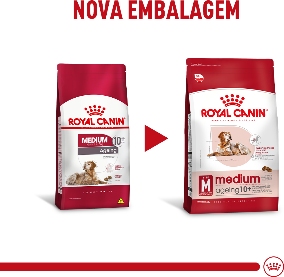 Ração Royal Canin Medium Ageing 10 + para Cães Idosos de Raças Médias com 10 Anos ou mais - 12Kg