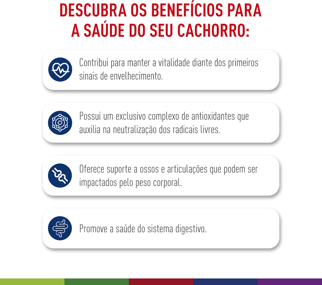 Ração Royal Canin Maxi Adult 5+ para Cães Adultos de Raças Grandes com 5 Anos ou mais - 12Kg