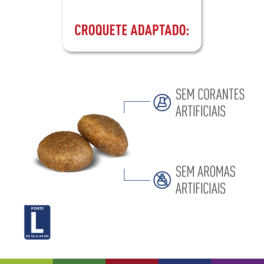Ração Royal Canin Maxi Adult 5+ para Cães Adultos de Raças Grandes com 5 Anos ou mais - 12Kg