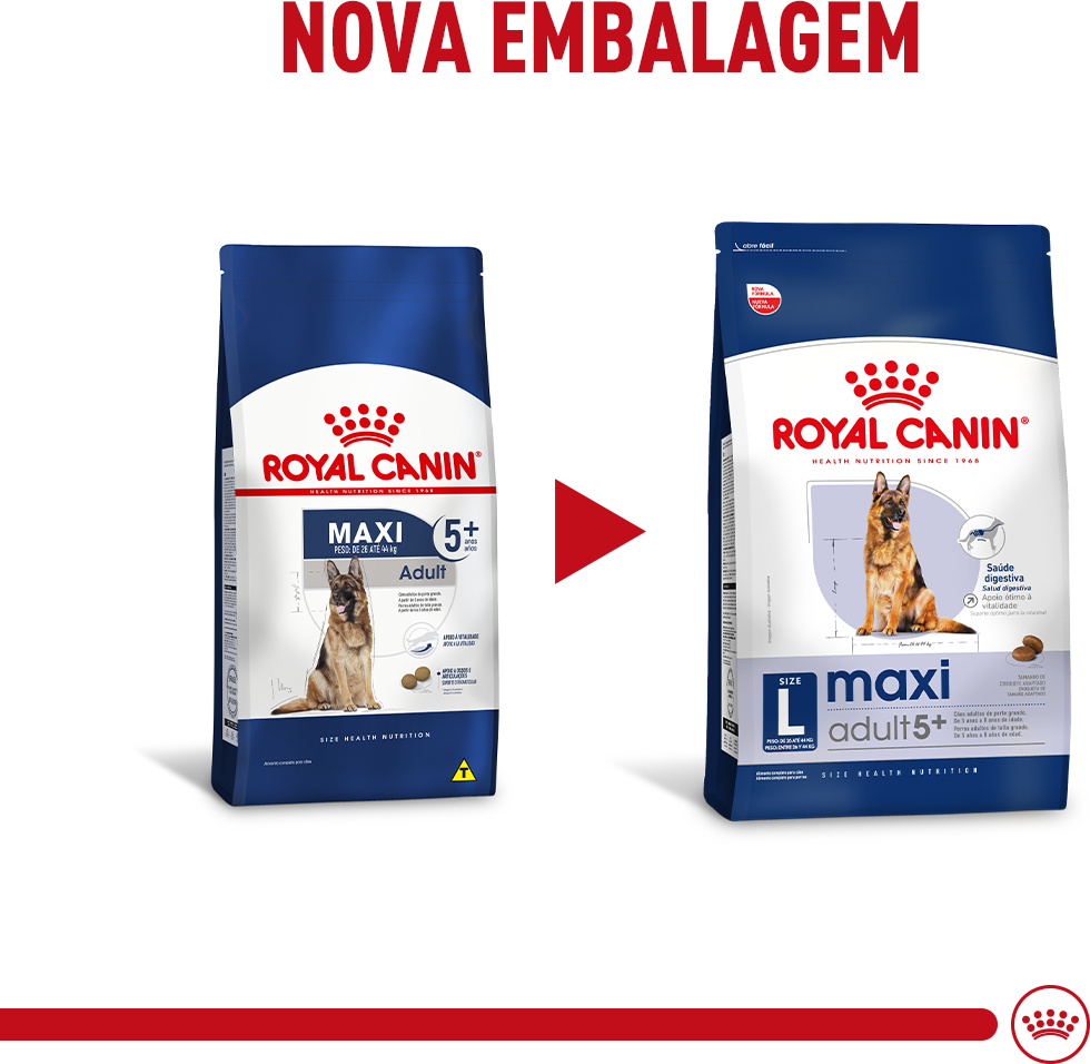Ração Royal Canin Maxi Adult 5+ para Cães Adultos de Raças Grandes com 5 Anos ou mais - 12Kg