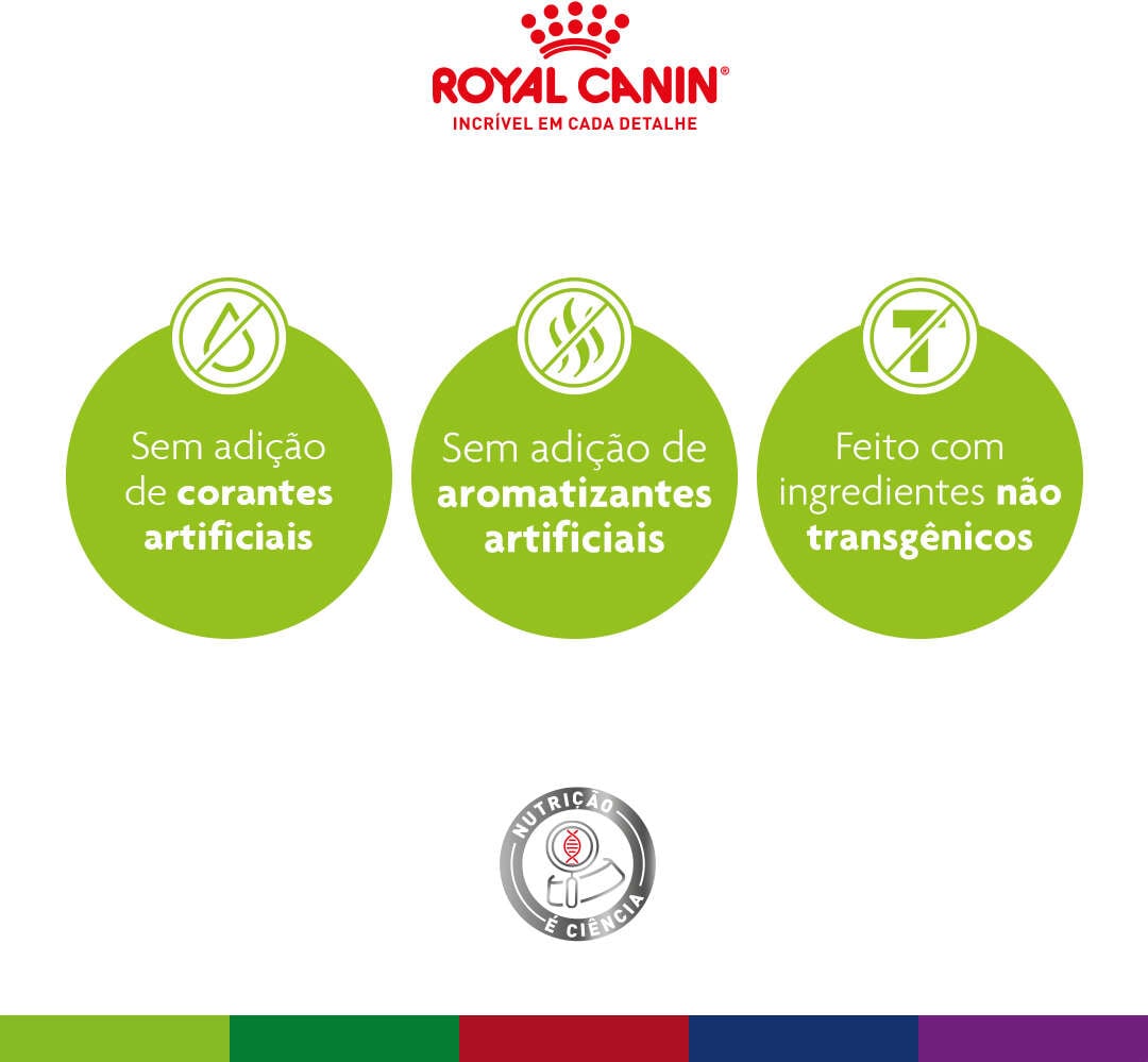 Ração Royal Canin Maxi Adult 5+ para Cães Adultos de Raças Grandes com 5 Anos ou mais - 12Kg