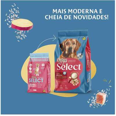 Ração Seca Quatree Select Frango e Arroz Cães Adultos Raças Médias e Grandes