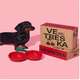 Comedouro de Cerâmica Vetreska Cereja para Cães e Gatos”