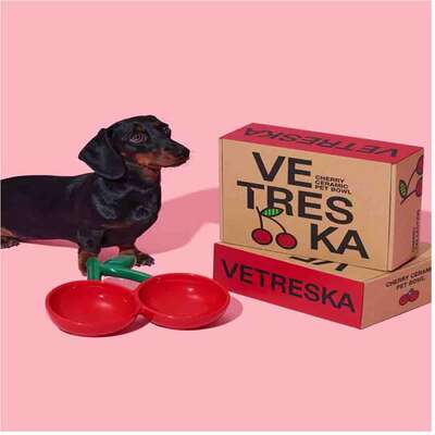 Comedouro de Cerâmica Vetreska Cereja para Cães e Gatos”