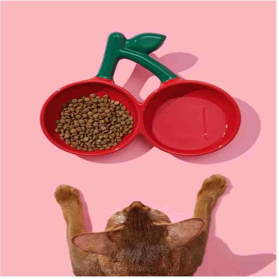 Comedouro de Cerâmica Vetreska Cereja para Cães e Gatos - Tam. Único