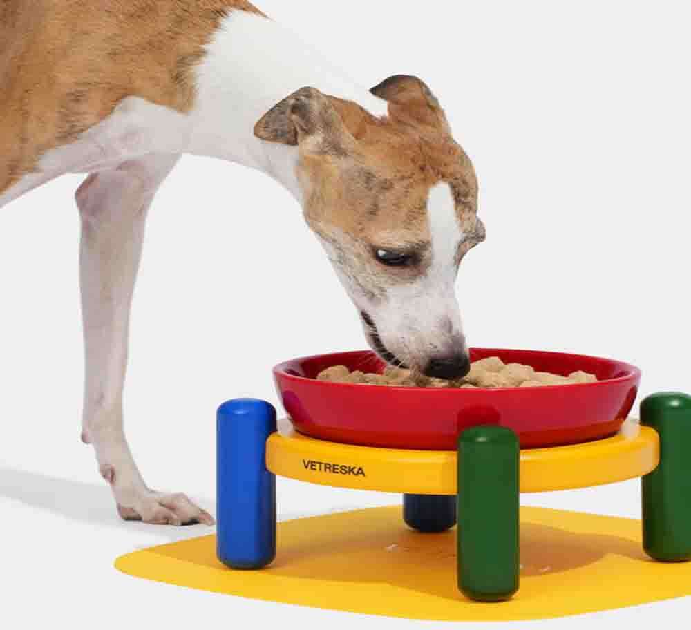 Comedouro de Cerâmica e Tapete Vetreska Chroma para Cães - Tam. M