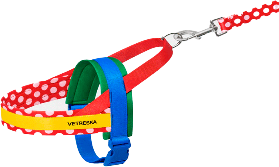 Conjunto Peitoral e Guia Vetreska Chroma Vermelha para Cães - Tam. M