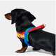 Conjunto Peitoral e Guia Vetreska Chroma Vermelha para Cães