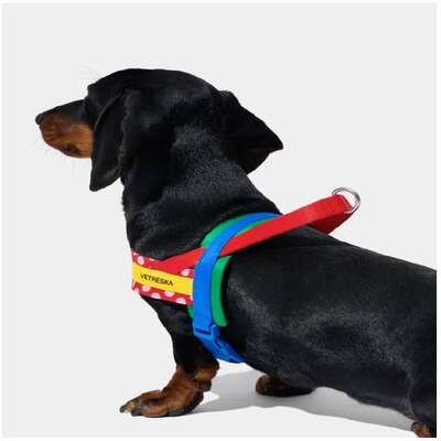 Conjunto Peitoral e Guia Vetreska Chroma Vermelha para Cães