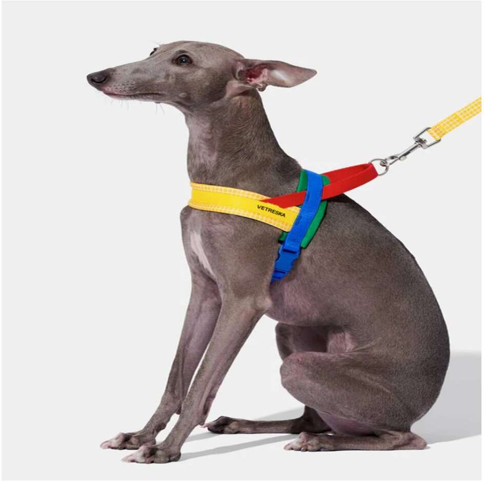 Conjunto Peitoral e Guia Vetreska Chroma Vermelha para Cães - Tam. M
