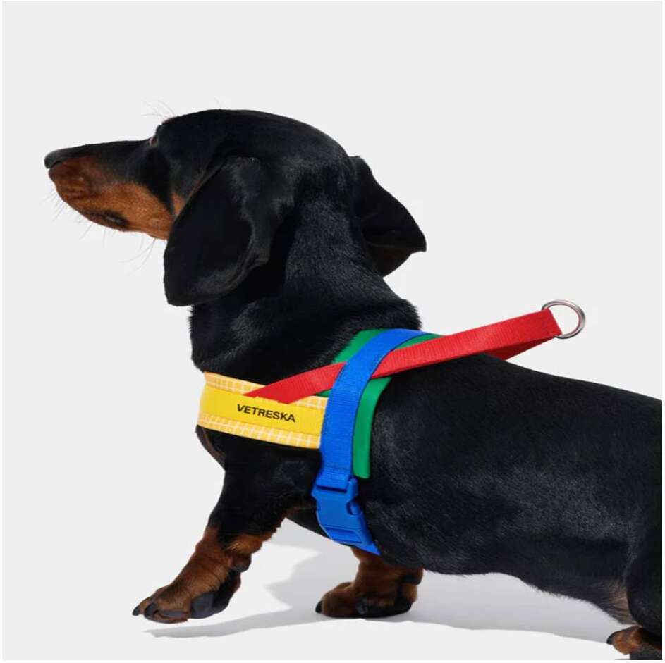 Conjunto Peitoral e Guia Vetreska Chroma Amarelo para Cães - Tam. M