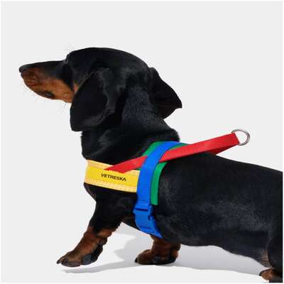 Conjunto Peitoral e Guia Vetreska Chroma Amarelo para Cães