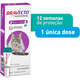 Antipulgas MSD Bravecto 500 mg para Gatos de 6,25 a 12,5 kg”