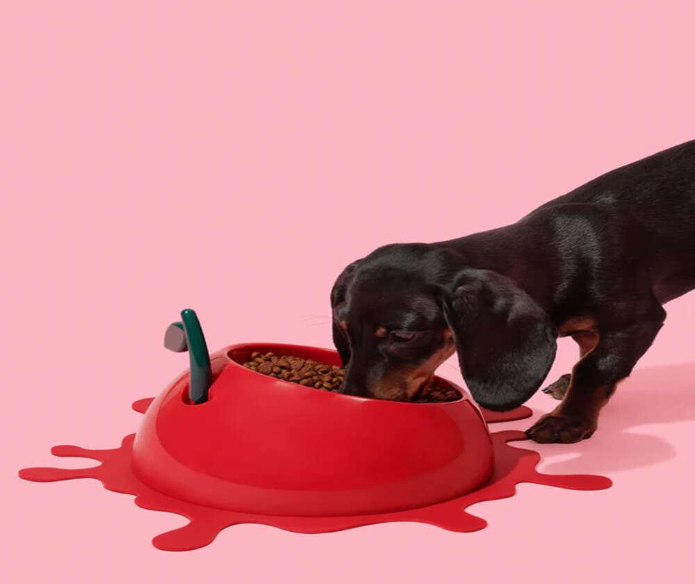 Kit de Alimentação Vetreska Cereja com Comedouro, Colher e Tapete para Cães e Gatos - Tam. Único