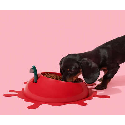 Kit de Alimentação Vetreska Cereja com Comedouro, Colher e Tapete para Cães e Gatos