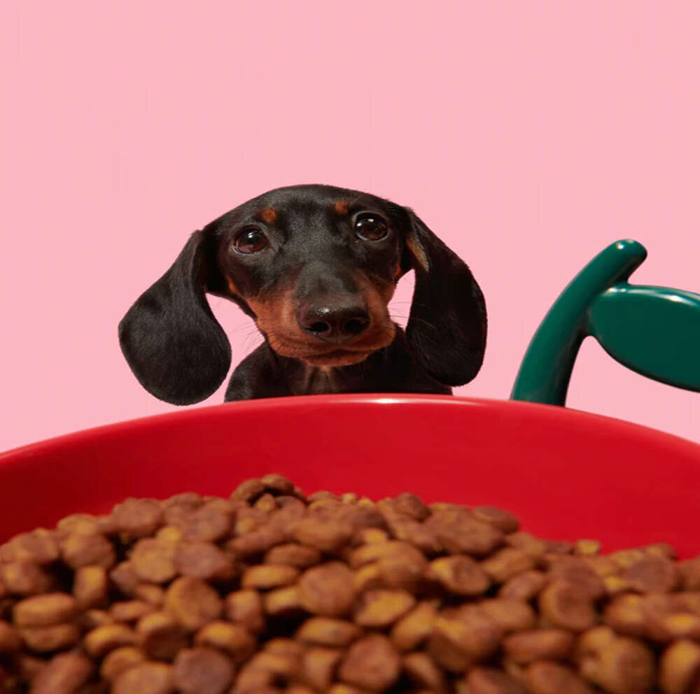 Kit de Alimentação Vetreska Cereja com Comedouro, Colher e Tapete para Cães e Gatos - Tam. Único