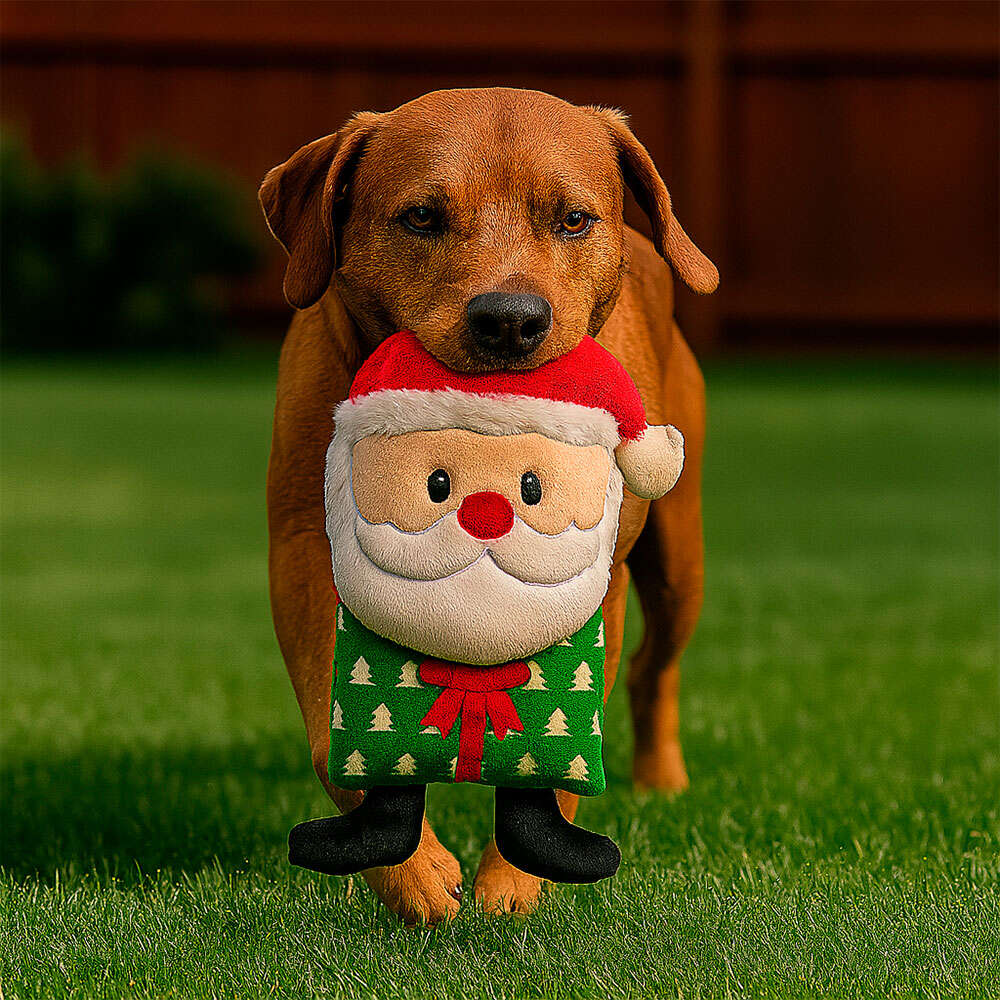 Brinquedo Pelúcia Savana Pet Papai Noel com Mordedor Branco para Cães - Tam. Único