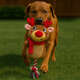 Brinquedo Pelúcia Savana Pet Rena com Corda Marrom para Cães