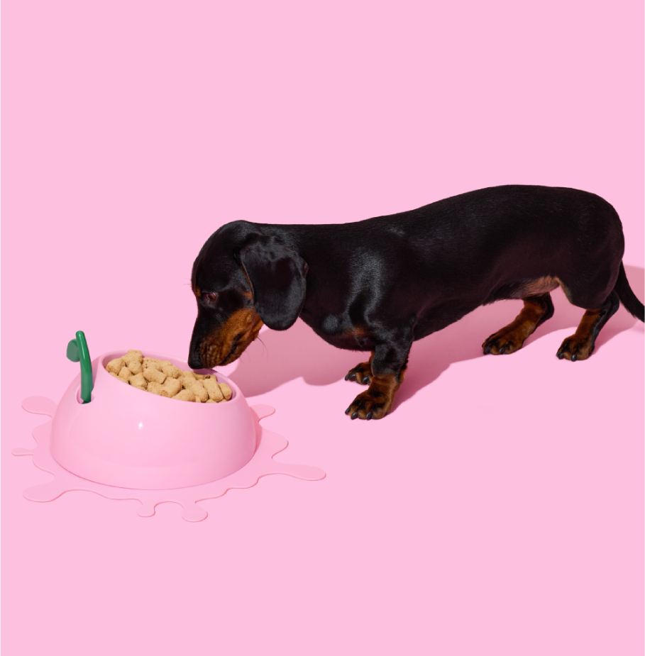 Kit de Alimentação Vetreska Pêssego com Comedouro, Colher e Tapete para Cães e Gatos - Tam. Único