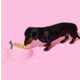 Kit de Alimentação Vetreska Pêssego com Comedouro, Colher e Tapete para Cães e Gatos