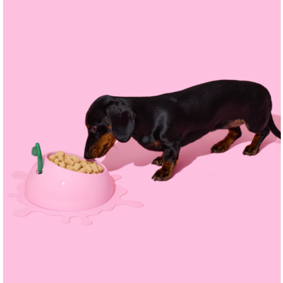 Kit de Alimentação Vetreska Pêssego com Comedouro, Colher e Tapete para Cães e Gatos