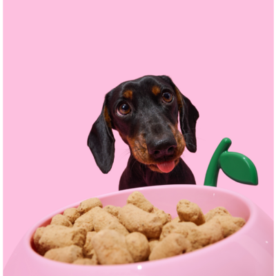 Kit de Alimentação Vetreska Pêssego com Comedouro, Colher e Tapete para Cães e Gatos
