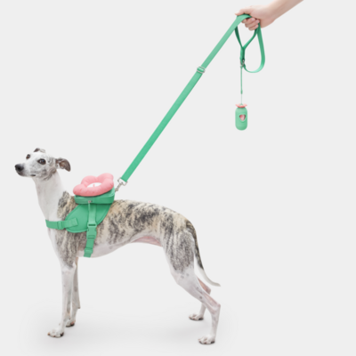 Kit de passeio Vetreska Flora com peitoral, mochila e guia para Cães