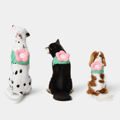 Kit de passeio Vetreska Flora com peitoral, mochila e guia para Cães