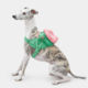 Kit de passeio Vetreska Flora com peitoral, mochila e guia para Cães