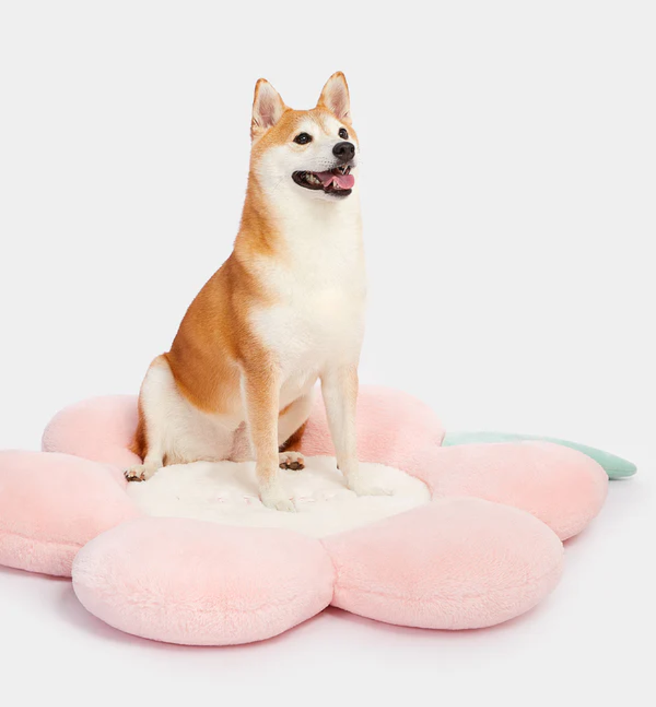 Cama Vetreska Flora para Cães - Tam. Único