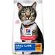 Ração Seca Hill's Science Diet Saúde Dental Frango para Gatos Adultos