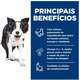 Ração Seca Hill's Science Diet Vitalidade Sênior Frango para Cães Idosos