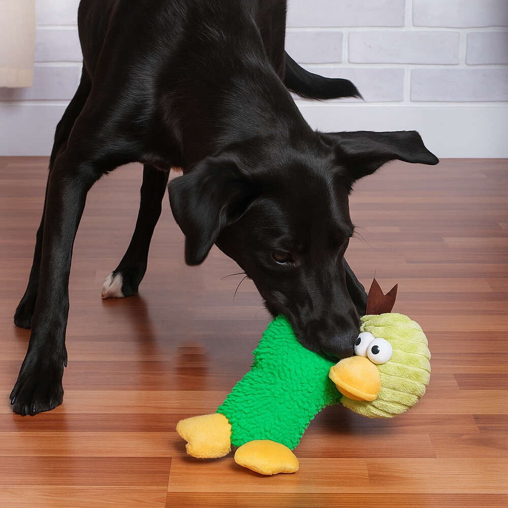 Brinquedo Pelúcia Savana Pet Pato Maluco Sonoro Verde para Cães - Tam. Único