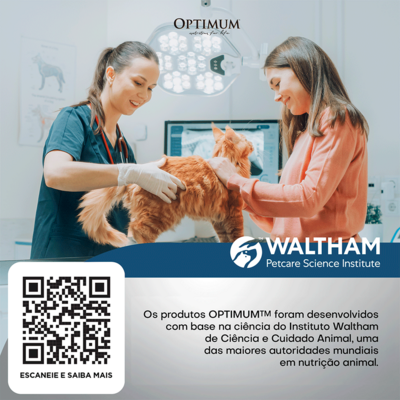 Petisco Optimum Pele e Pelo para Gatos Adultos Sabor Salmão