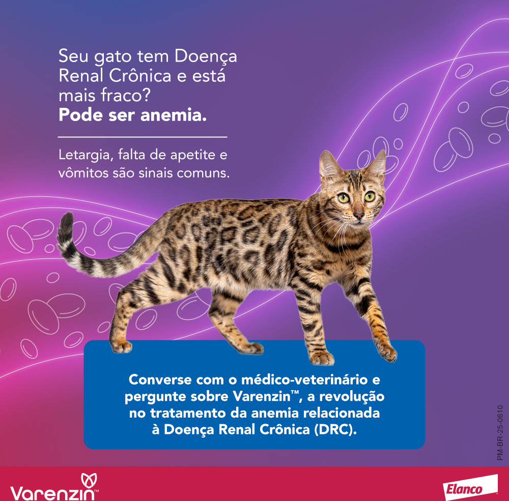 Suspensão Oral de Molidustat Elanco Varenzin 25 mg para Gatos - 27 mL