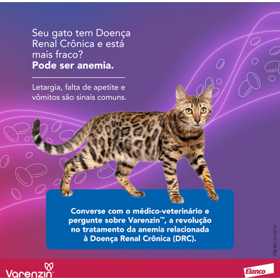 Suspensão Oral de Molidustat Elanco Varenzin 25 mg para Gatos