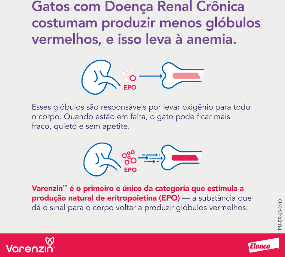 Suspensão Oral de Molidustat Elanco Varenzin 25 mg para Gatos - 27 mL