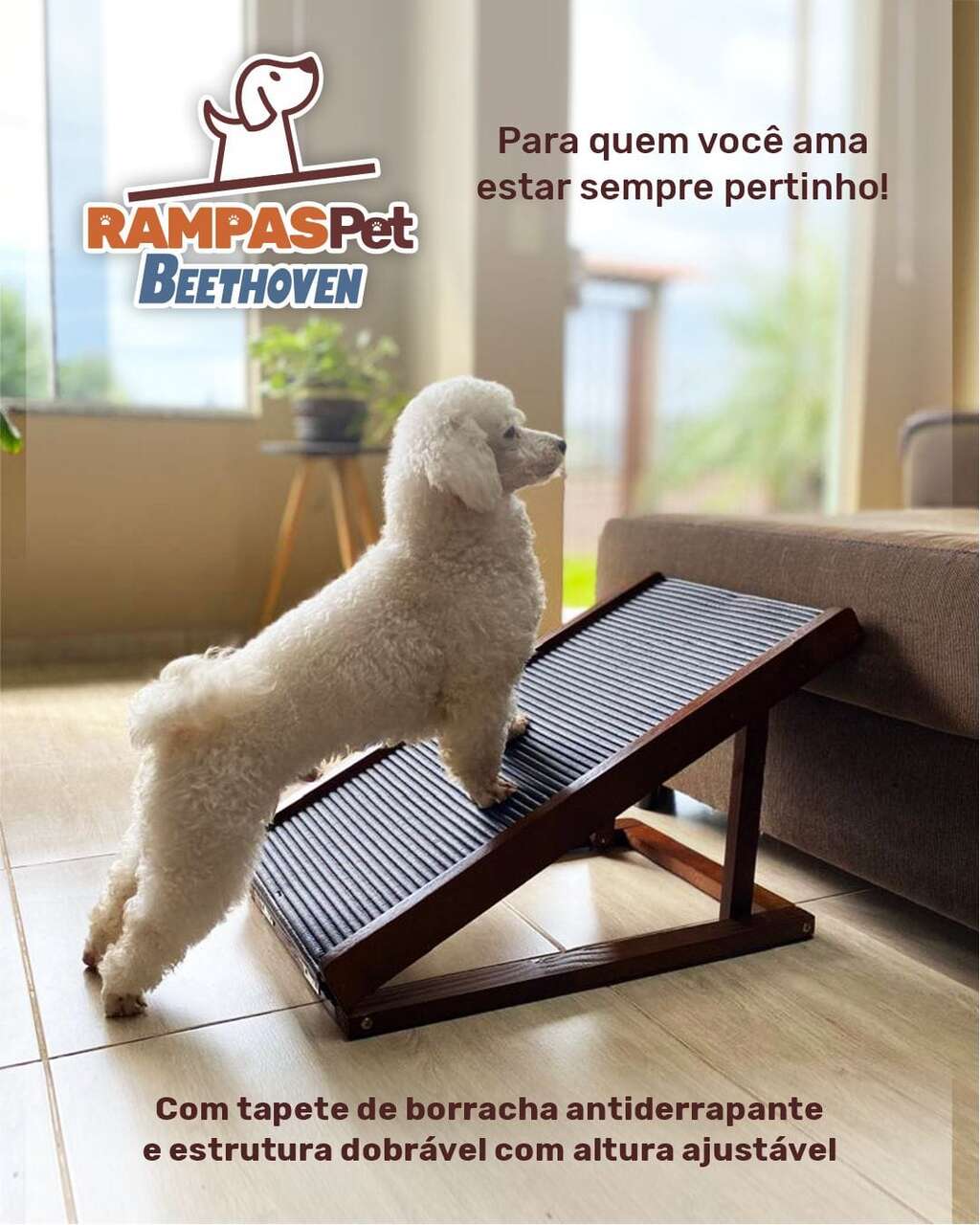 Rampa Beethoven Agropet para Cães Cerejeira - Tam. Único