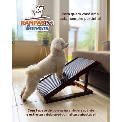 Rampa Beethoven Agropet para Cães Cerejeira