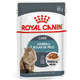 Kit Ração Úmida Royal Canin Sachê Feline Hairball Care Eliminação de Pelos Ingeridos para Gatos - 12 Unidades