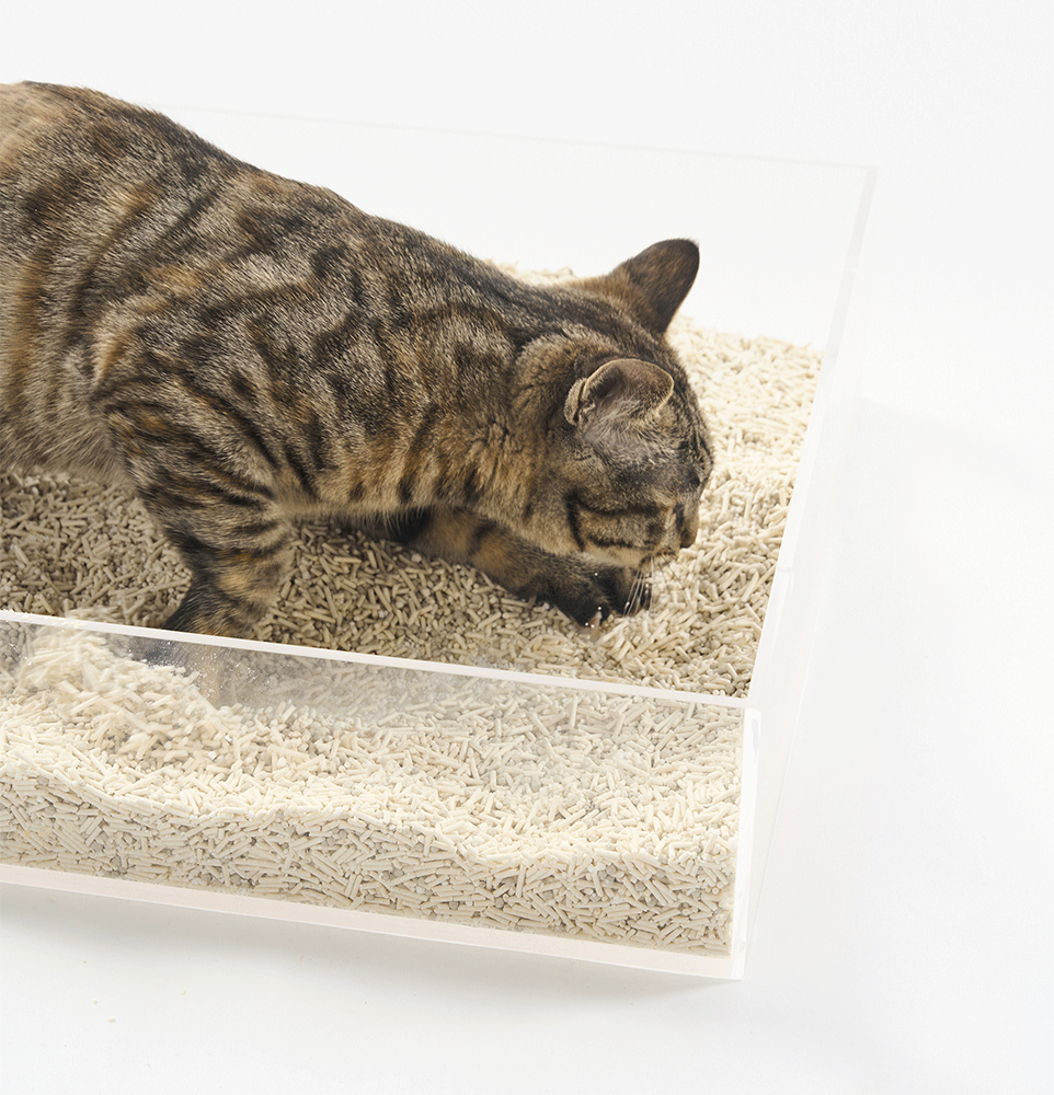 Granulado Higiênico Pidan Tofu com Areia Sanitária para Gatos Grãos Médios - 3,6Kg