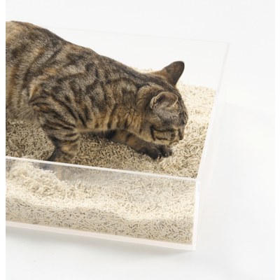 Granulado Higiênico Pidan Tofu com Areia Sanitária para Gatos Grãos Médios